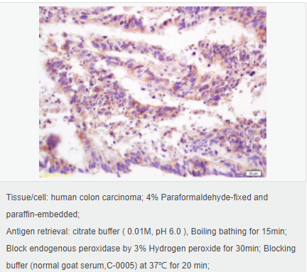 6052aa9fbd42d.png image.png