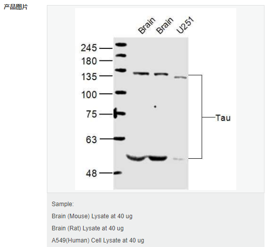 6052ad641c60e.png image.png