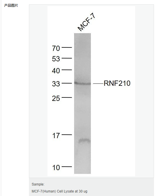 6052c73b9ad64.png image.png