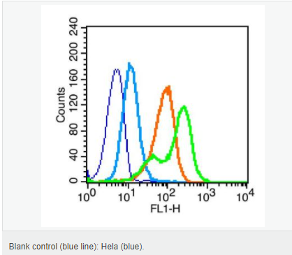 605416dca7b32.png image.png