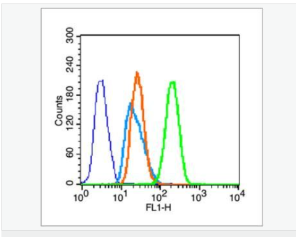 60544cddab8f5.png image.png