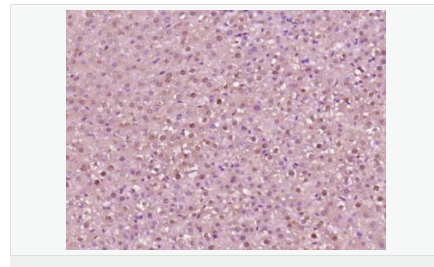 60544dff904ba.png image.png