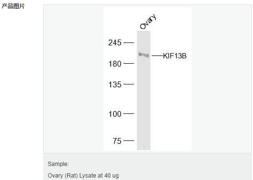 6054588f5c7a0.png image.png