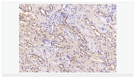 605801202dc63.png image.png