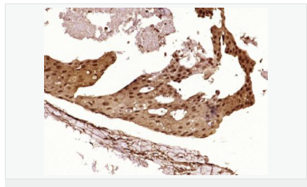 605803d03a3e8.png image.png