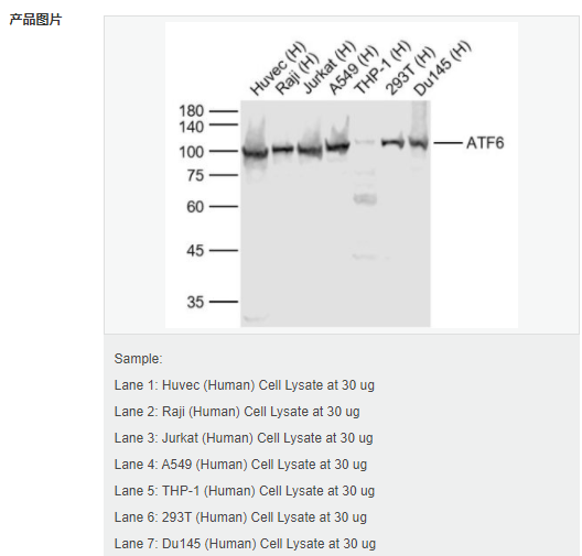 605835478ddae.png image.png