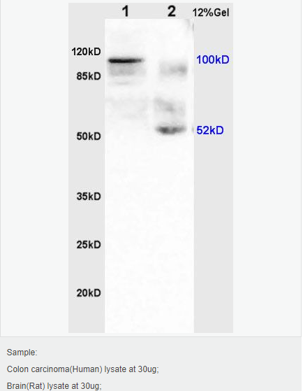 60583d1857be4.png image.png