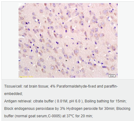 605840e95ff7e.png image.png