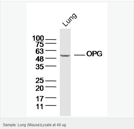 6059439cda63b.png image.png