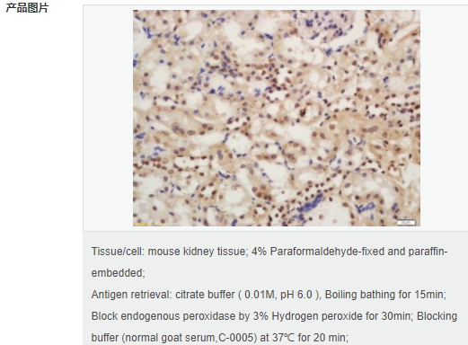 6059456e58009.png image.png