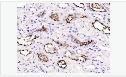 60594e8a0935c.png image.png