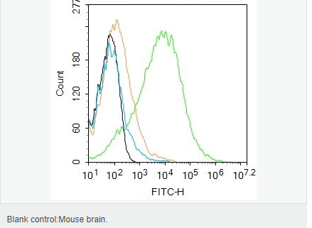 60595ddb6372a.png image.png