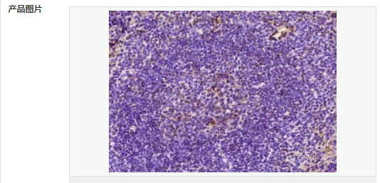 6063d62b8381c.png image.png