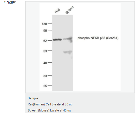 60657bfcd5433.png image.png