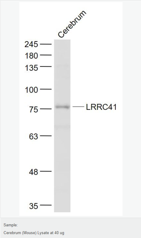 6066bbf534ba7.png image.png