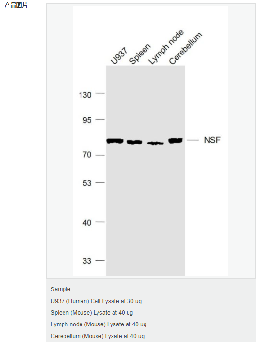 6066ca23c9cc6.png image.png