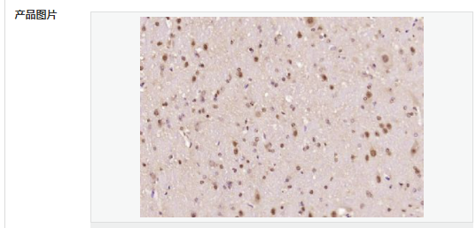 6066d9ca05887.png image.png