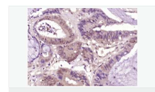 607793df03feb.png image.png