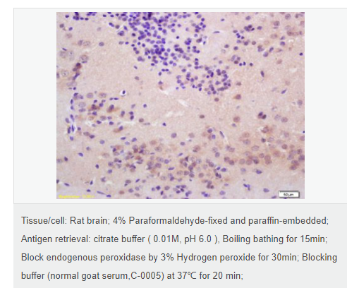 6078e5afd018c.png image.png