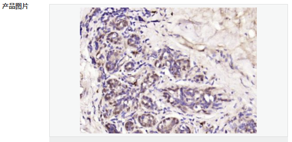 6078f0f41263b.png image.png