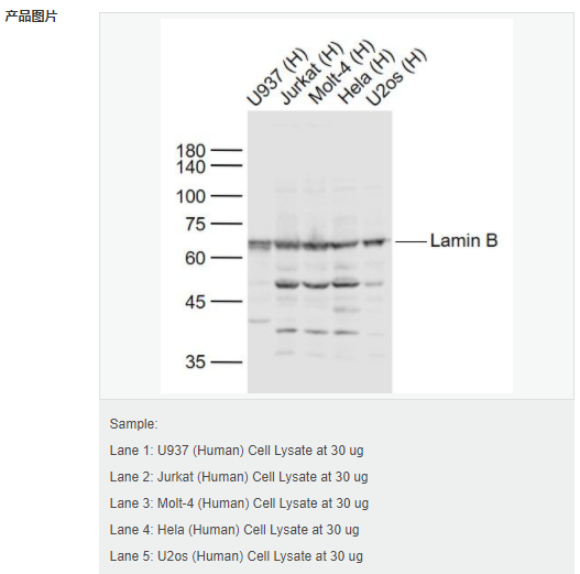 607d1902c97be.png image.png