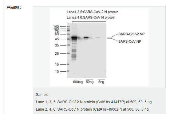 607d1d19f3089.png image.png