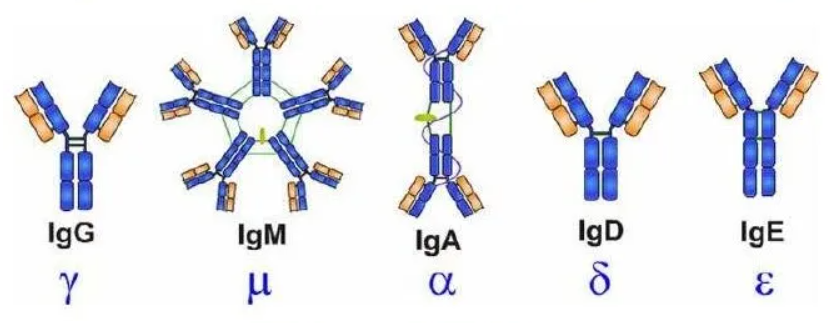 66cc11f738c8a.png image.png